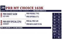 LOT 28 - PRR MY CHOICE 163K