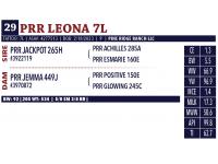 LOT 29 - RR LEONA 7L