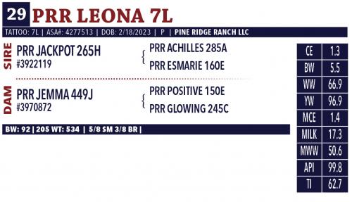 LOT 29 - RR LEONA 7L