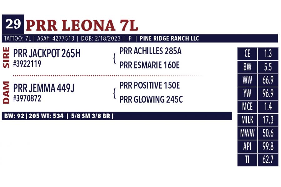 LOT 29 - RR LEONA 7L