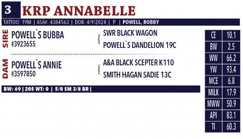 LOT 03 - KRP ANNABELLE