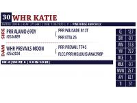 LOT 30 - WHR KATIE