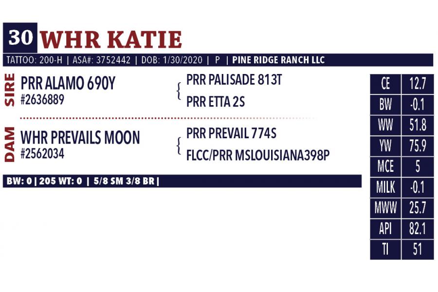 LOT 30 - WHR KATIE