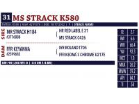 LOT 31 - MS STRACK K580