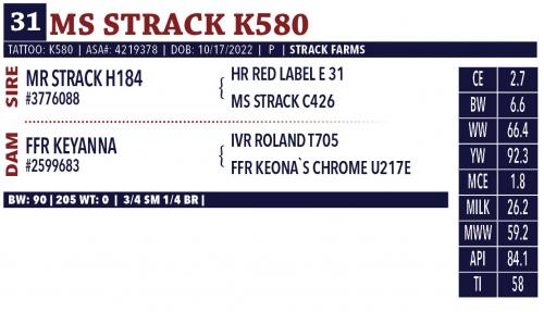 LOT 31 - MS STRACK K580