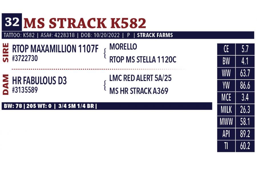 LOT 32 - MS STRACK K582