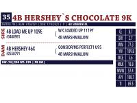 LOT 35 - 4B HERSHEY`S CHOCOLATE 9K