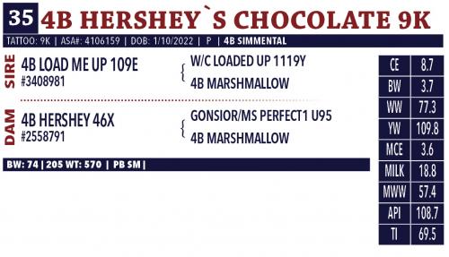 LOT 35 - 4B HERSHEY`S CHOCOLATE 9K