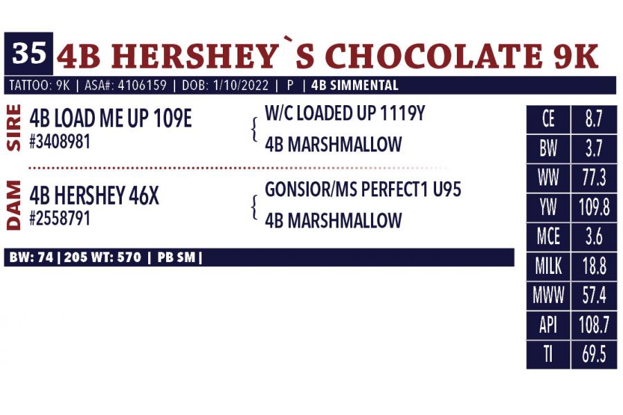 LOT 35 - 4B HERSHEY`S CHOCOLATE 9K