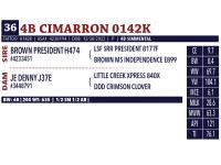 LOT 36 - 4B CIMARRON 0142K