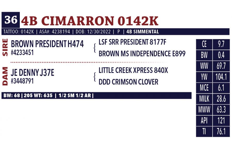 LOT 36 - 4B CIMARRON 0142K