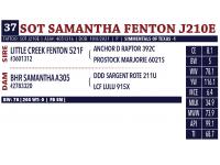 LOT 37 - SOT SAMANTHA FENTON J210E