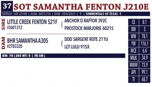 LOT 37 - SOT SAMANTHA FENTON J210E