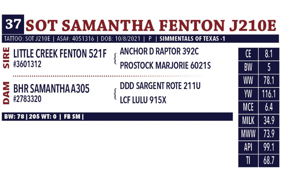 LOT 37 - SOT SAMANTHA FENTON J210E