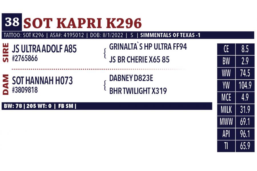 LOT 38 - SOT KAPRI K296