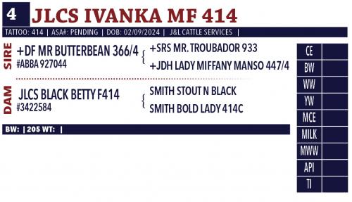 LOT 04 - JLCS IVANKA MF 414