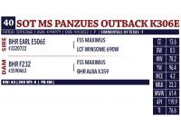 LOT 40 - SOT MS PANZUES OUTBACK K306E