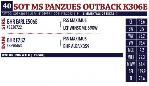 LOT 40 - SOT MS PANZUES OUTBACK K306E