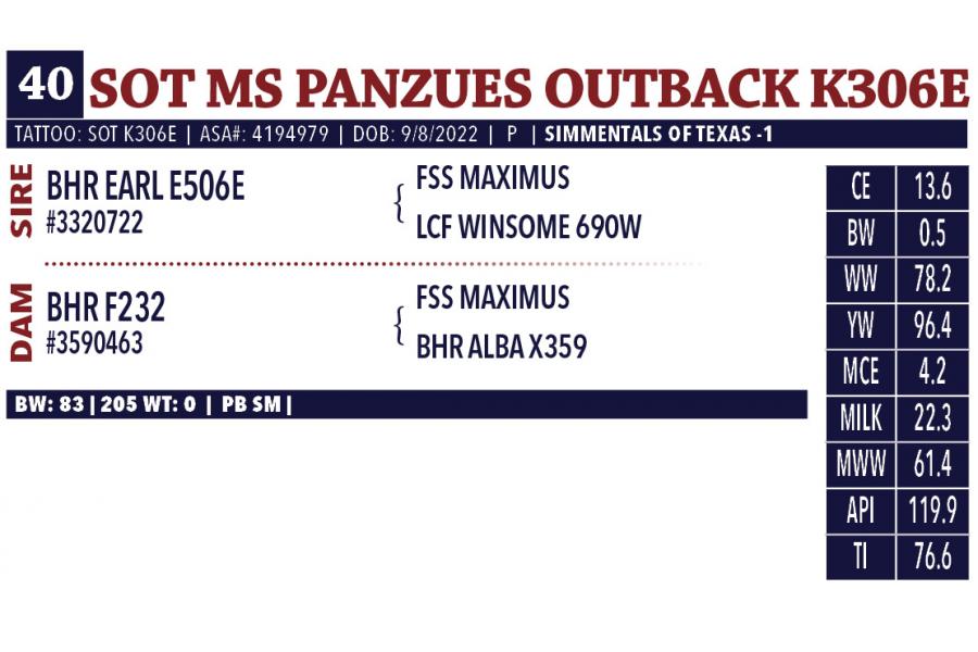 LOT 40 - SOT MS PANZUES OUTBACK K306E