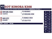 LOT 42 - SOT KIMORA K308