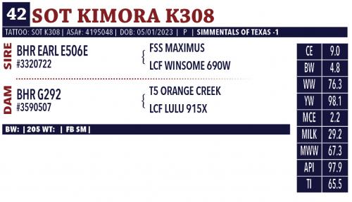 LOT 42 - SOT KIMORA K308