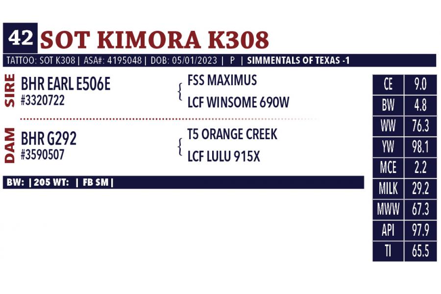 LOT 42 - SOT KIMORA K308