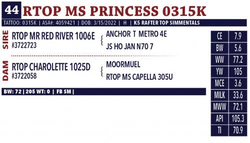 LOT 44 - RTOP MS PRINCESS 0315K