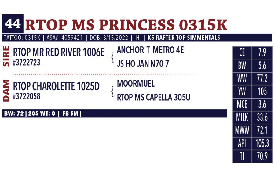 LOT 44 - RTOP MS PRINCESS 0315K