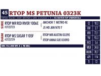 LOT 45 - RTOP MS PETUNIA 0323K