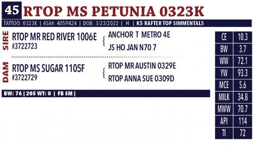 LOT 45 - RTOP MS PETUNIA 0323K