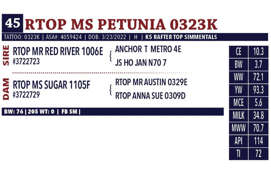 LOT 45 - RTOP MS PETUNIA 0323K