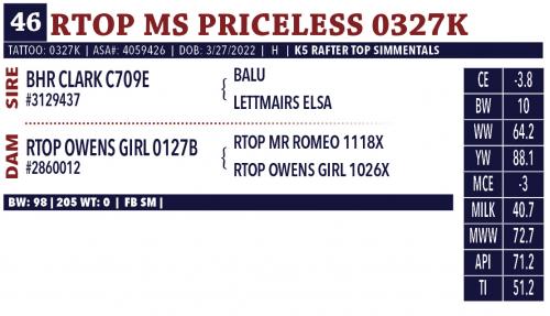 LOT 46 - RTOP MS PRICELESS 0327K