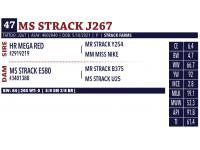 LOT 47 - MS STRACK J267