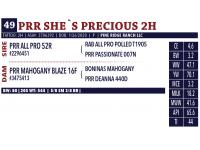 LOT 49 - PRR SHE`S PRECIOUS 2H