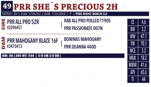 LOT 49 - PRR SHE`S PRECIOUS 2H