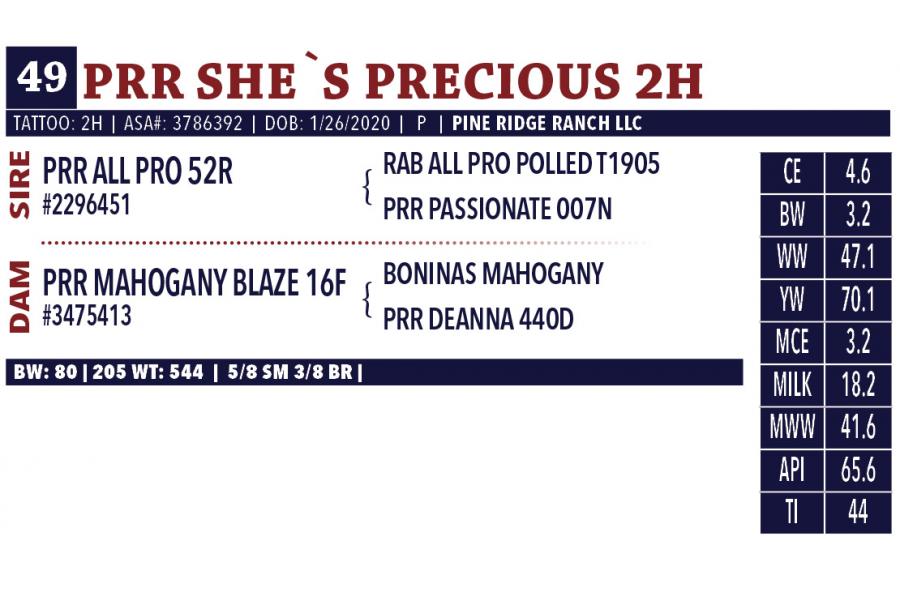 LOT 49 - PRR SHE`S PRECIOUS 2H