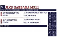 LOT 05 - JLCS GABBANA MF11