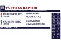 LOT 53 B - T5 TEXAS RAPTOR - TEN (10) STRAWS OF SEMEN