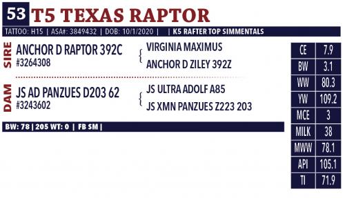 LOT 53 B - T5 TEXAS RAPTOR - TEN (10) STRAWS OF SEMEN