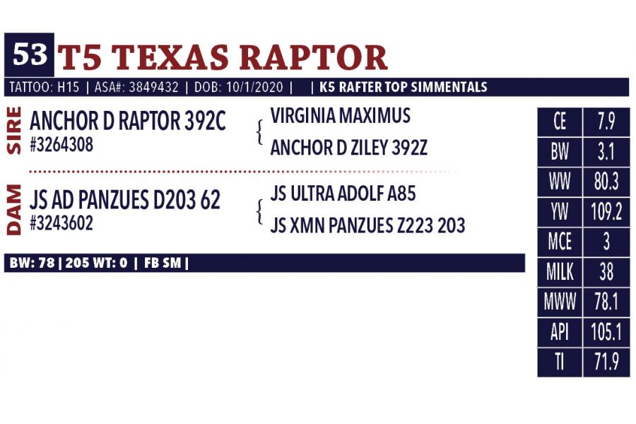 LOT 53 B - T5 TEXAS RAPTOR - TEN (10) STRAWS OF SEMEN