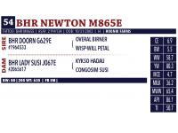 LOT 54 E - BHR NEWTON M865E - TEN (10) STRAWS OF SEMEN