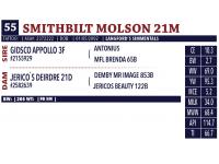 LOT 55 - SMITHBILT MOLSON 21M - 2 STRAWS OF SEMEN DONATED