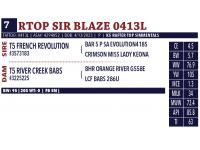 LOT 07 - RTOP SIR BLAZE 0413L