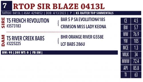 LOT 07 - RTOP SIR BLAZE 0413L