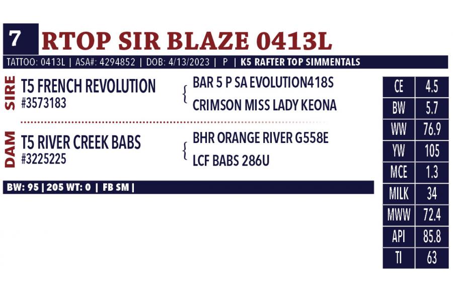 LOT 07 - RTOP SIR BLAZE 0413L