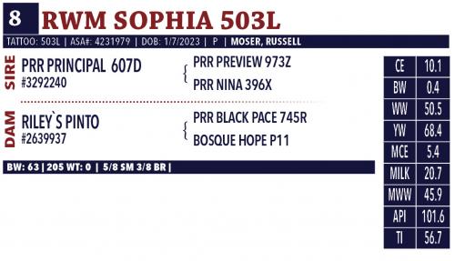 LOT 08 - RWM SOPHIA 503L