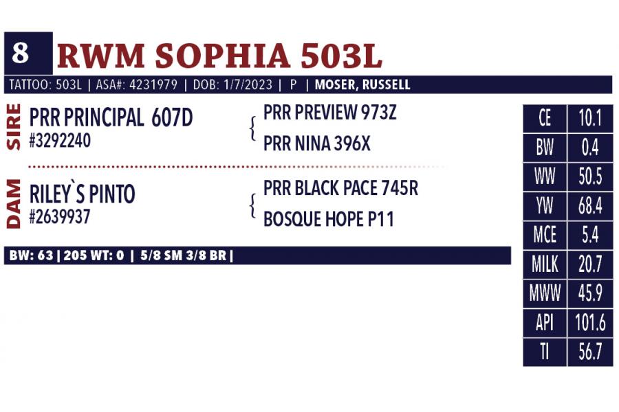 LOT 08 - RWM SOPHIA 503L