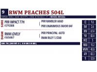 LOT 09 - RWM PEACHES 504L