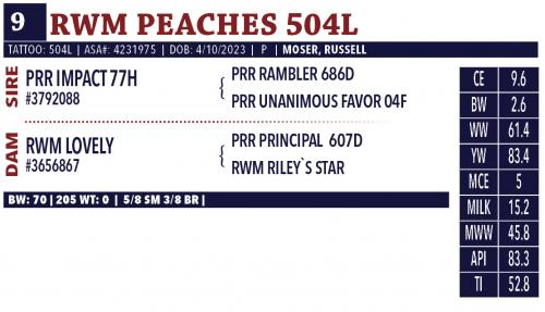 LOT 09 - RWM PEACHES 504L