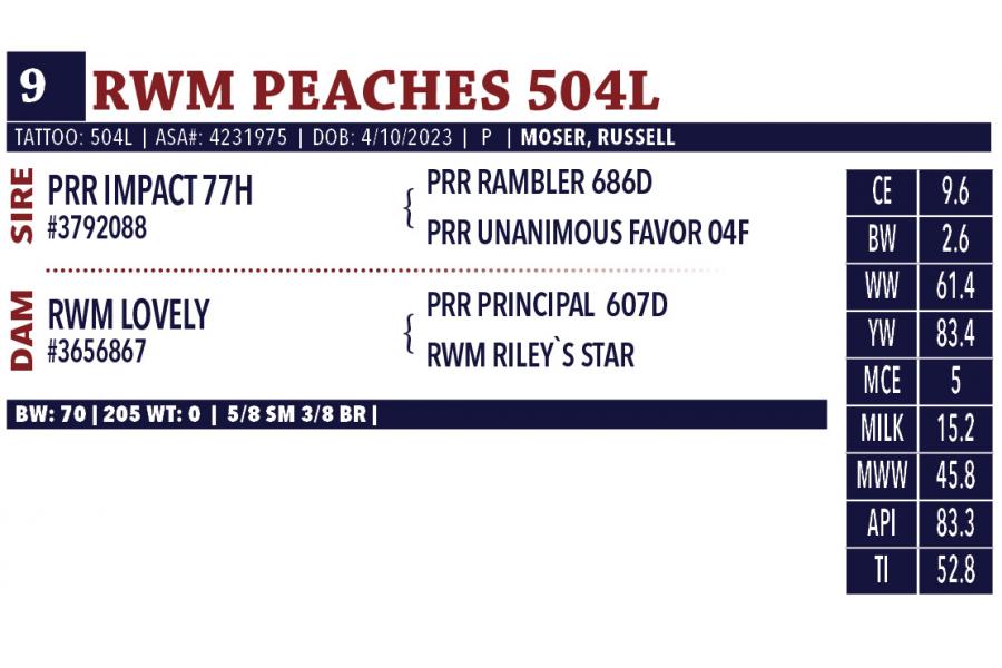 LOT 09 - RWM PEACHES 504L